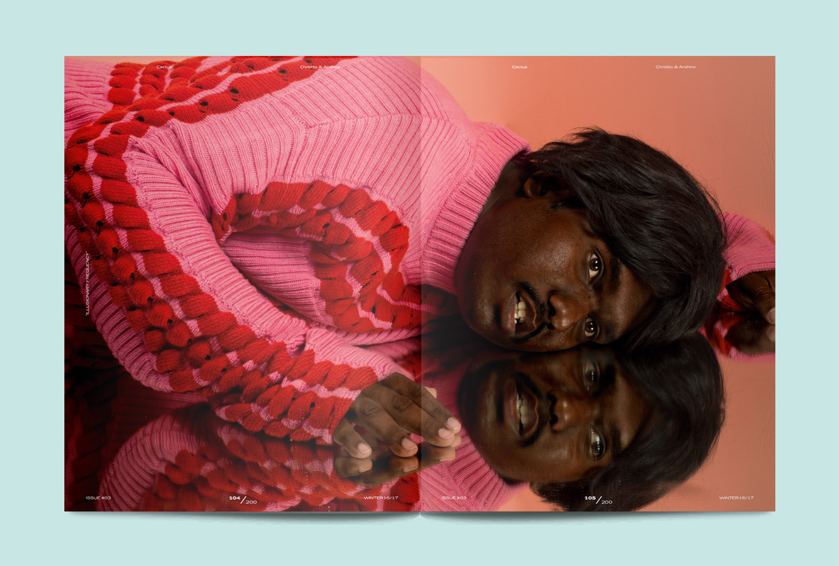 mirror-cactus-magazine