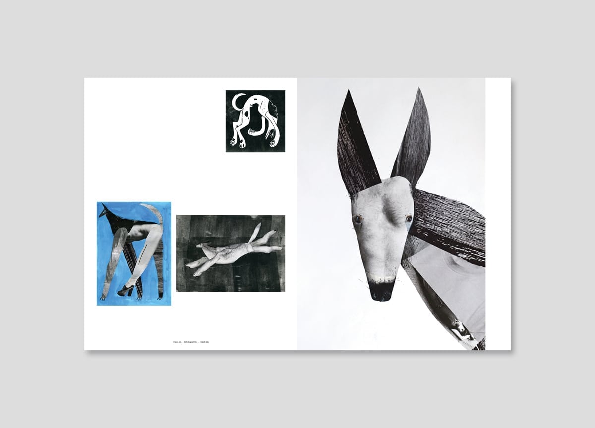 four-and-sons-rescue-dog